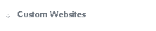 Custom Websites