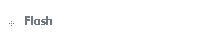 Flash
